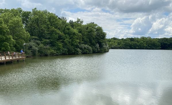 IMG_4065_crop_714_437